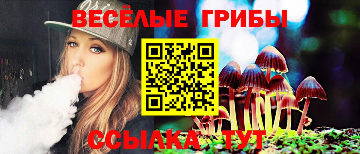 Псилоцибиновые грибы Psilocybe Егорьевск