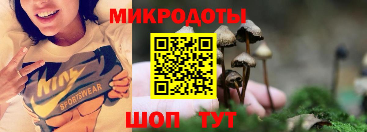 Галлюциногенные грибы Psilocybine cubensis  Псилоцибиновые грибы Magic Shrooms  Вход с VPN  Егорьевск 